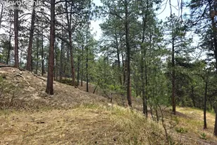 4465 Leprechaun Ln, Colorado Springs, CO 80908 - Photo 27