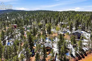 747 Trout Haven Rd, Florissant, CO 80816 - Photo 11
