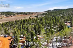 747 Trout Haven Rd, Florissant, CO 80816 - Photo 13