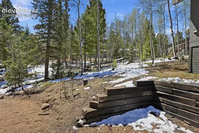 747 Trout Haven Road, Florissant, CO 80816 - Photo 39