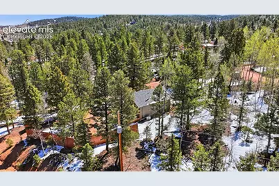 747 Trout Haven Road, Florissant, CO 80816 - Photo 9