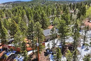 747 Trout Haven Rd, Florissant, CO 80816 - Photo 9