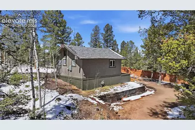 747 Trout Haven Road, Florissant, CO 80816 - Photo 7