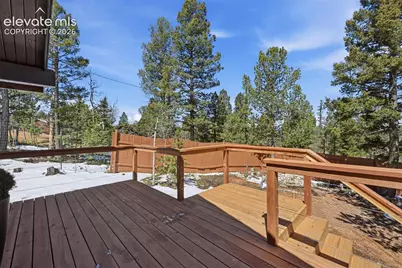 747 Trout Haven Road, Florissant, CO 80816 - Photo 23