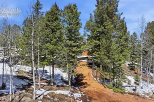 747 Trout Haven Rd, Florissant, CO 80816 - Photo 17