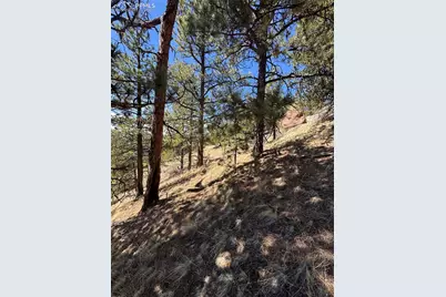 288 Troy Drive, Cripple Creek, CO 80813 - Photo 5