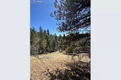 288 Troy Drive, Cripple Creek, CO 80813 - Photo 3
