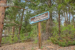 1015 Locklin Way, Woodland Park, CO 80863 - Photo 43