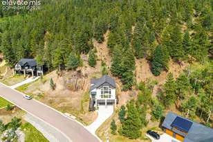 1015 Locklin Way, Woodland Park, CO 80863 - Photo 47
