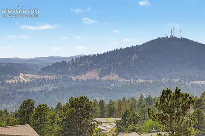 1015 Locklin Way, Woodland Park, CO 80863 - Photo 39