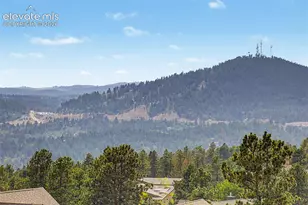 1015 Locklin Way, Woodland Park, CO 80863 - Photo 39