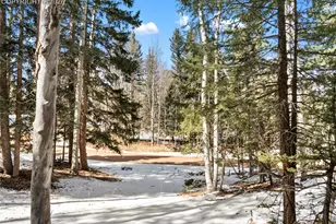 358 Pawutsy Rd, Florissant, CO 80816 - Photo 1