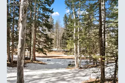 358 Pawutsy Road, Florissant, CO 80816 - Photo 1