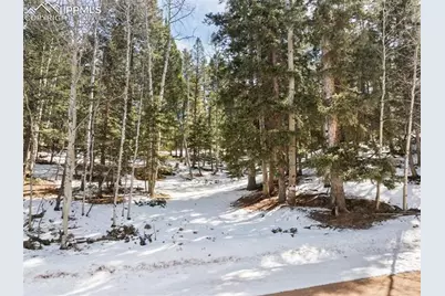 358 Pawutsy Road, Florissant, CO 80816 - Photo 5