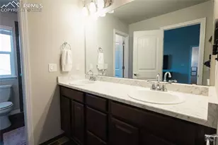 9901 Castor Dr, Colorado Springs, CO 80925 - Photo 23