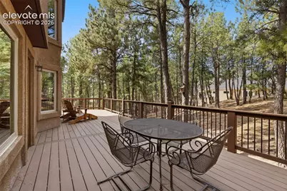 230 Blue Garter Way, Monument, CO 80132 - Photo 7