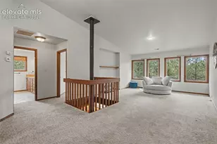 230 Blue Garter Way, Monument, CO 80132 - Photo 25
