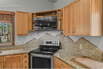 230 Blue Garter Way, Monument, CO 80132 - Photo 19