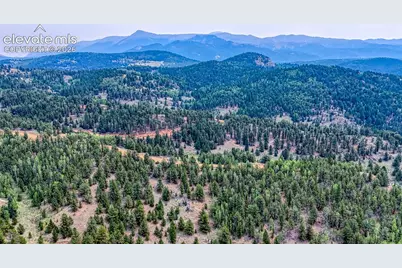 71 Brown Bear Lane, Cripple Creek, CO 80813 - Photo 11
