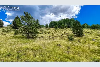 972 Anges Drive, Cripple Creek, CO 80813 - Photo 5