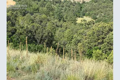 Lot 71 Chris Crossover Drive, Canon City, CO 81212 - Photo 19