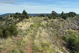 Chris Crossover Dr, Canon City, CO 81212 - Photo 1