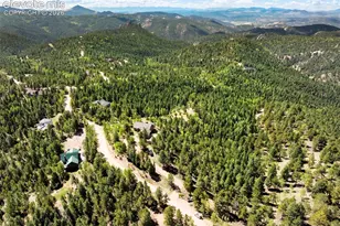 131 Paradiso Rd, Divide, CO 80814 - Photo 49