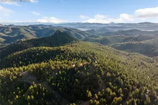 714 Woodrock Way, Divide, CO 80814 - Photo 37