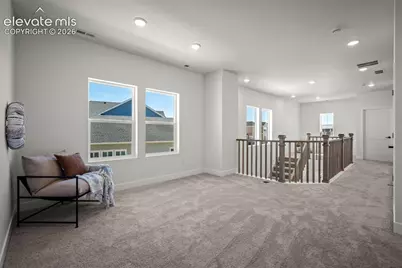 9000 Frolic View, Colorado Springs, CO 80924 - Photo 17