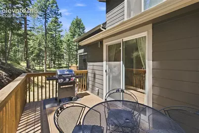 28 Joseph Road, Woodland Park, CO 80863 - Photo 25