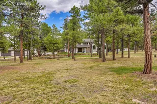17350 Goshawk Rd, Colorado Springs, CO 80908 - Photo 47