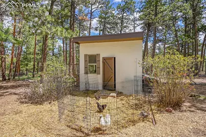 17350 Goshawk Road, Colorado Springs, CO 80908 - Photo 41
