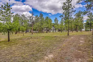 17350 Goshawk Rd, Colorado Springs, CO 80908 - Photo 45