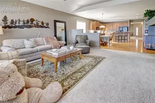 12624 Pine Valley Cir, Peyton, CO 80831 - Photo 19