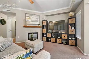 3715 Riviera Grove, Colorado Springs, CO 80922 - Photo 13