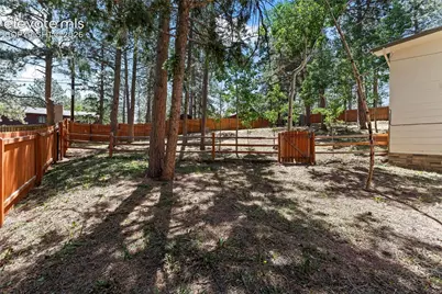 417 Coraline Street, Woodland Park, CO 80863 - Photo 45