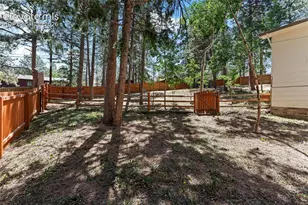 417 Coraline St, Woodland Park, CO 80863 - Photo 45