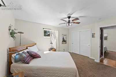417 Coraline Street, Woodland Park, CO 80863 - Photo 19