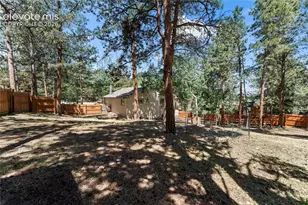 417 Coraline St, Woodland Park, CO 80863 - Photo 43