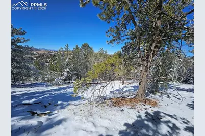 829 Princess Road, Cripple Creek, CO 80813 - Photo 11