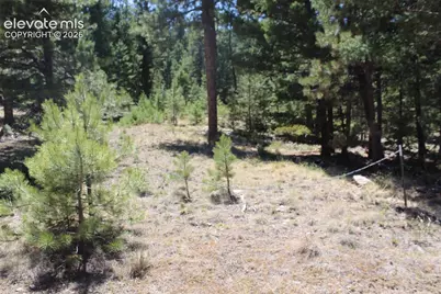 Tbd Tallahassee Lane, Canon City, CO 81212 - Photo 21