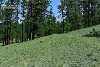 6th Street, Guffey, CO 80820 - Photo 13