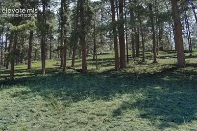 6th Street, Guffey, CO 80820 - Photo 19