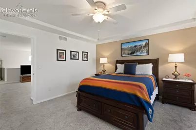 6588 Cottonwood Tree Drive, Colorado Springs, CO 80927 - Photo 9