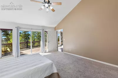 516 Saguache Drive, Florissant, CO 80816 - Photo 19
