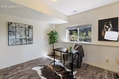 516 Saguache Drive, Florissant, CO 80816 - Photo 27