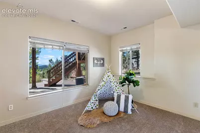 516 Saguache Drive, Florissant, CO 80816 - Photo 31
