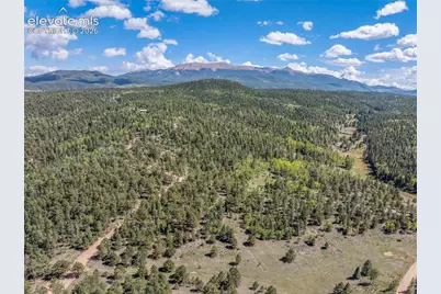 516 Saguache Drive, Florissant, CO 80816 - Photo 37