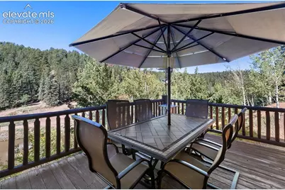 4214 Trout Creek Road, Woodland Park, CO 80863 - Photo 23