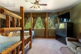4214 Trout Creek Rd, Woodland Park, CO 80863 - Photo 47